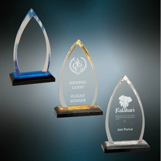 Custom Oval Acrylic Award | Engraving Included | Employee Gifts