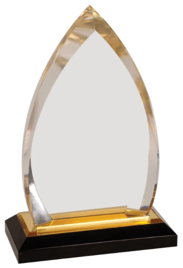 Custom Oval Acrylic Award | Engraving Included | Employee Gifts