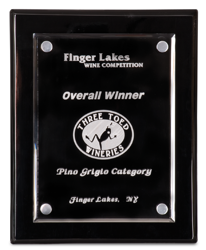 Custom 8"x10" Black Piano Finish Floating Acrylic Plaque | Personalized Plaques | Office Awards | School Awards | Business Gifts