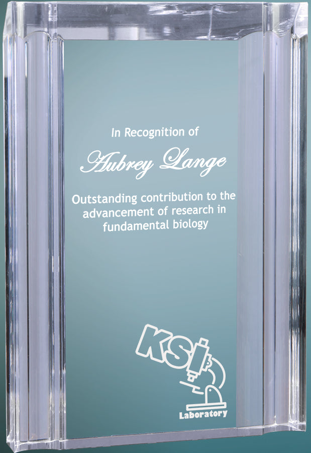 Custom Self Standing Clear Channel Acrylic Award | Engraving Included | Accomplishment Awards