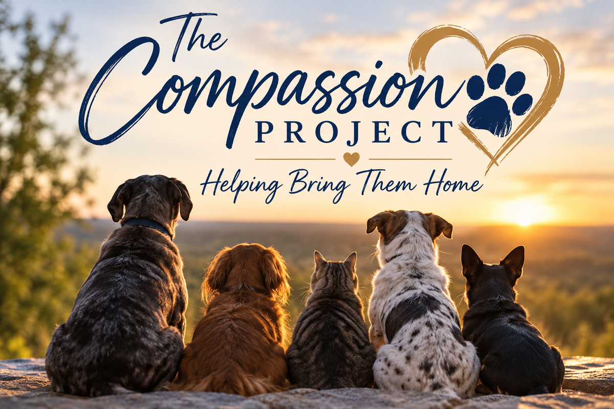 Where It All Began: The Compassion Project