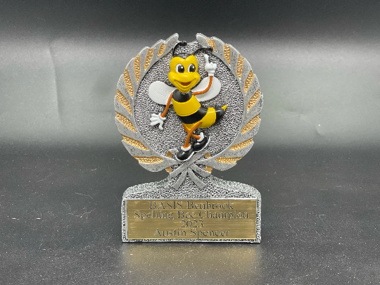 Custom Spelling Bee Award | Spelling Bee Championship Awards | School Trophies | Kid's Trophies | Accomplishment Awards