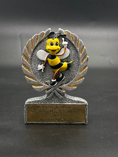Custom Spelling Bee Award | Spelling Bee Championship Awards | School Trophies | Kid's Trophies | Accomplishment Awards