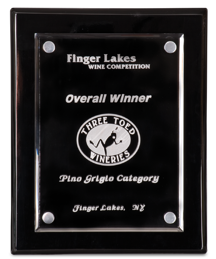 Custom 9"x12" Black Piano Finish Floating Acrylic Plaque | Personalized Plaques | Office Awards | School Awards | Business Gifts