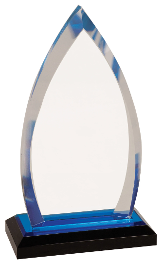 Custom Oval Acrylic Award | Engraving Included | Employee Gifts