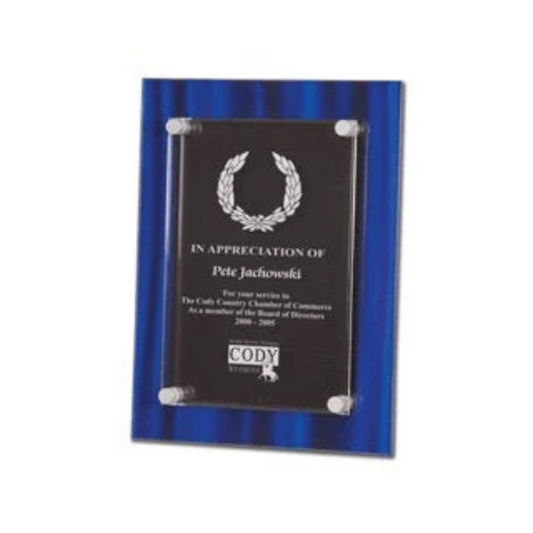 Personalized 8"x10" Blue Stand Off Acrylic Plaque | Office Awards | Business Awards | Performance Awards | Accomplishment Gifts