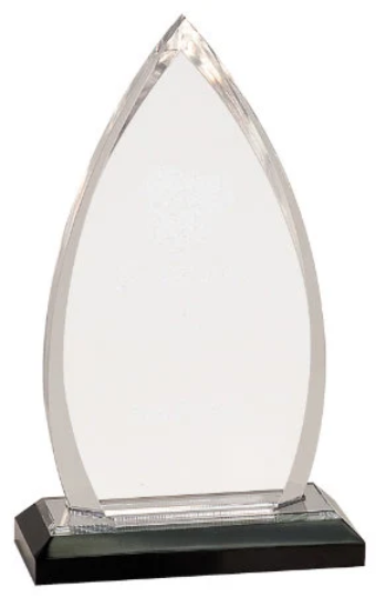Custom Oval Acrylic Award | Engraving Included | Employee Gifts